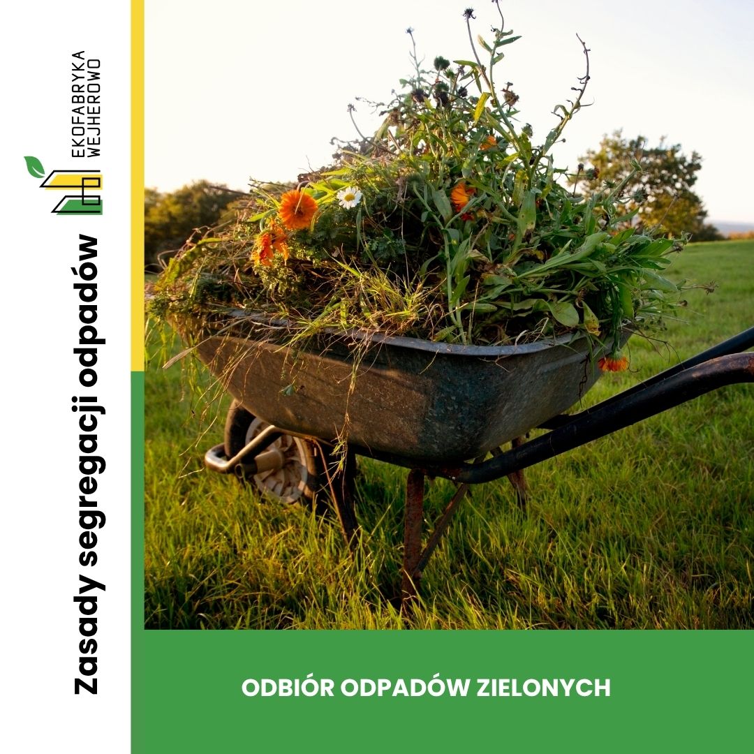 Rusza odbiór odpadów zielonych