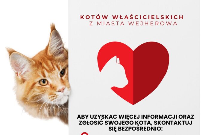 Bezpłatna sterylizacja i kastracja kotów właścicielskich w Wejherowie!
