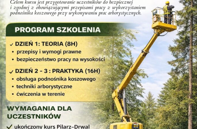 Szkolenie arborystyczne – praca w koronach drzew z podnośnikiem koszowym.