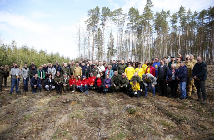 Ekofabryka razem z naturą – wspólne sadzenie lasu 🌳