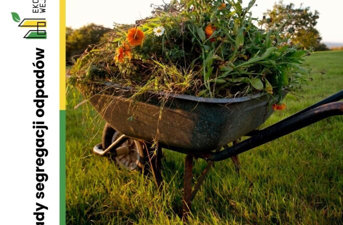 Rusza odbiór odpadów zielonych
